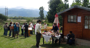 lavanda5-2013