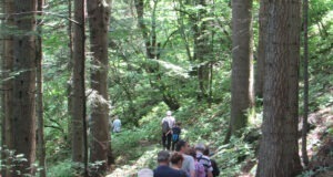 IMG_2799