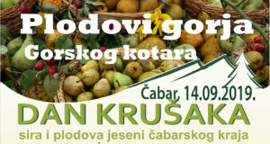 DAN KRUŠAKA2019-banner