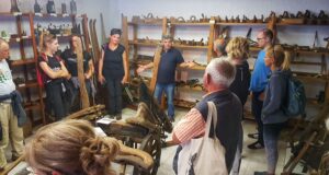 Dan bobičastog voća u Fužinama i Liču
