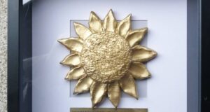 212080268_1046212382856680_2417476587928896236_n