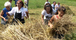 3. žetvena svečanost
