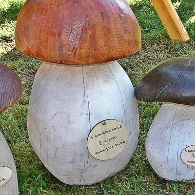 Festival gljiva, vune i plodova jeseni, Stara Sušica 2023.