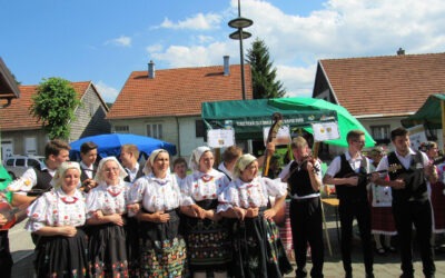 Dan borovnica 2017 – glazbeno – scenski program, nastup KUD-ova