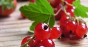 Festival bobičastog voća i rekreacije u Fužinama