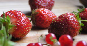 Dan bobičastog voća u Liču