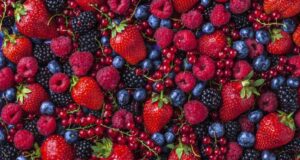 Festival bobičastog voća i rekreacije "Bob fest" Vrata