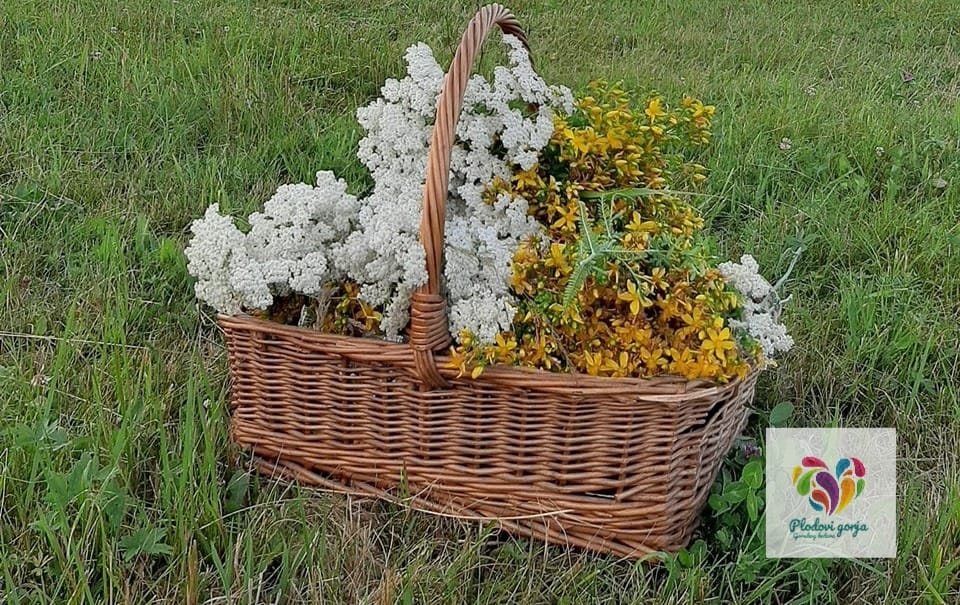 Dan ljekovitog bilja u Ravnoj Gori